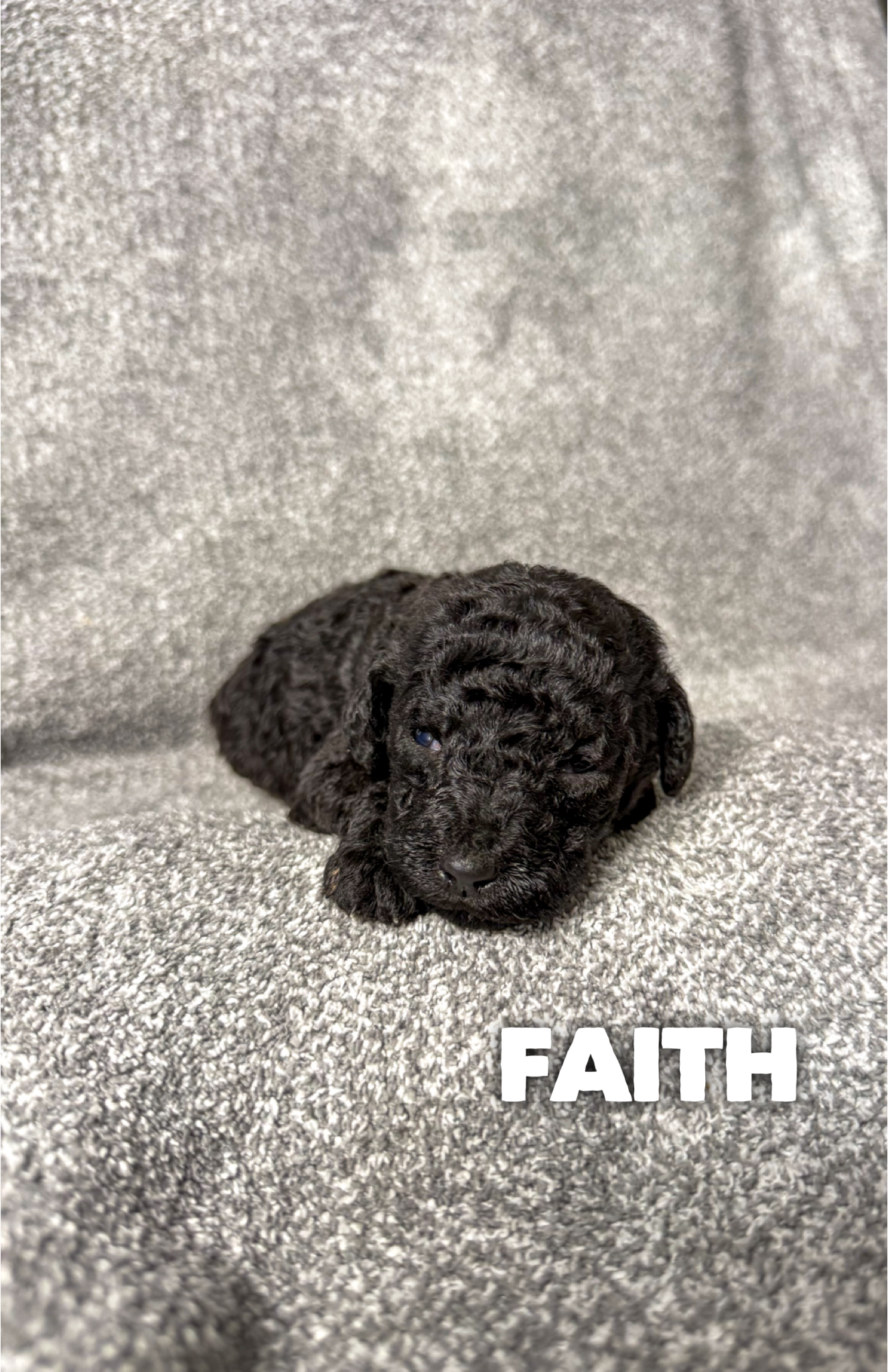 Faith 2